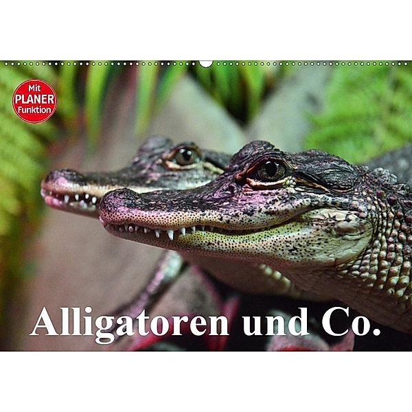 Alligatoren und Co. (Wandkalender 2020 DIN A2 quer), Elisabeth Stanzer