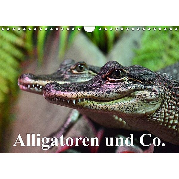 Alligatoren und Co. (Wandkalender 2023 DIN A4 quer), Elisabeth Stanzer