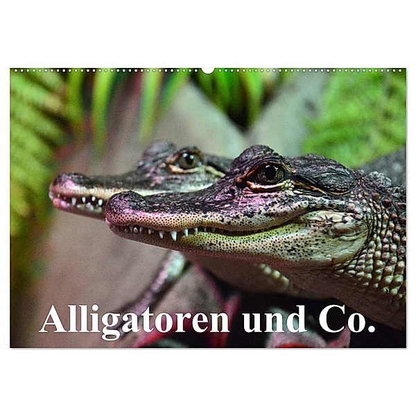 Alligatoren und Co. (Wandkalender 2024 DIN A2 quer), CALVENDO Monatskalender, Elisabeth Stanzer