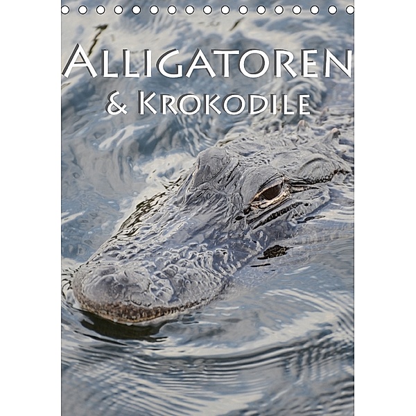 Alligatoren und Krokodile (Tischkalender 2018 DIN A5 hoch), Robert Styppa