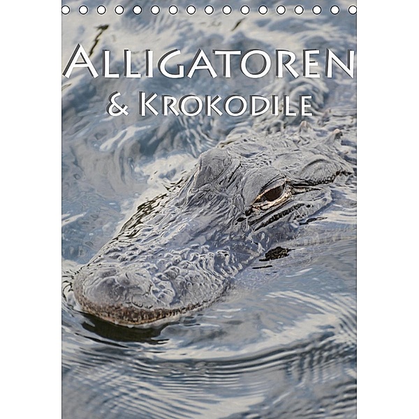 Alligatoren und Krokodile (Tischkalender 2020 DIN A5 hoch), ROBERT STYPPA