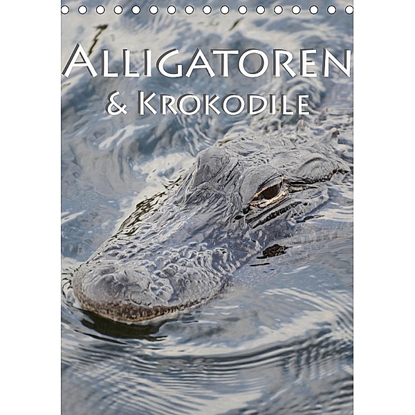 Alligatoren und Krokodile (Tischkalender 2021 DIN A5 hoch), Robert Styppa