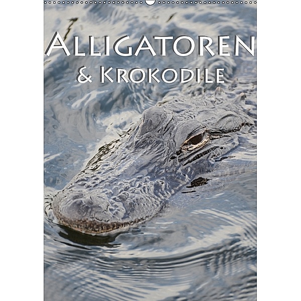 Alligatoren und Krokodile (Wandkalender 2018 DIN A2 hoch), Robert Styppa