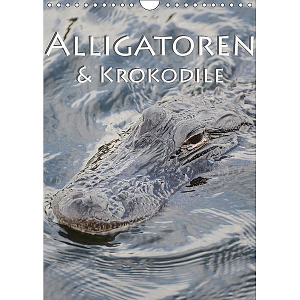 Alligatoren und Krokodile (Wandkalender 2018 DIN A4 hoch), Robert Styppa