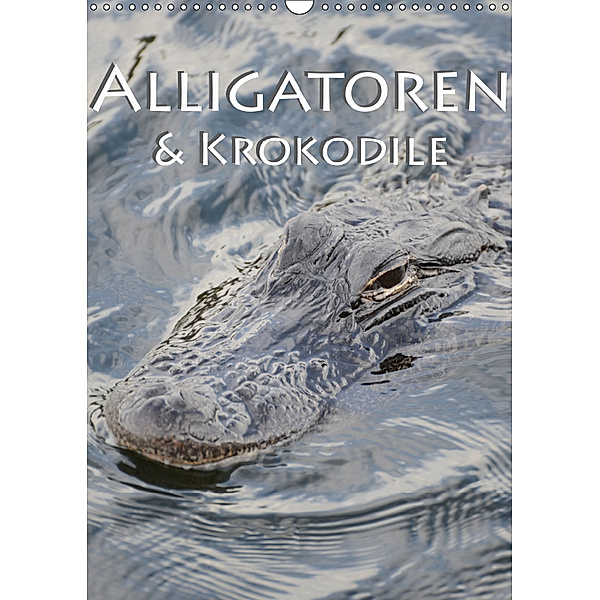 Alligatoren und Krokodile (Wandkalender 2019 DIN A3 hoch), Robert Styppa