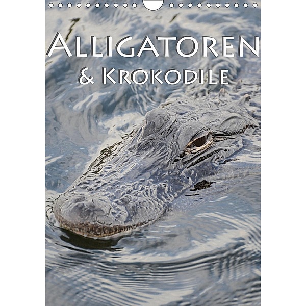 Alligatoren und Krokodile (Wandkalender 2020 DIN A4 hoch), Robert Styppa