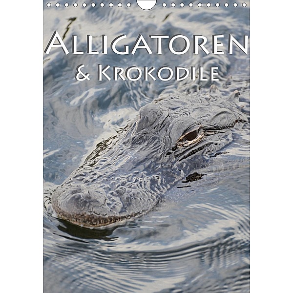 Alligatoren und Krokodile (Wandkalender 2021 DIN A4 hoch), Robert Styppa