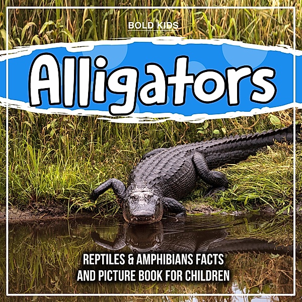 Alligators: Reptiles & Amphibians Facts And Picture Book For Children / Bold Kids, Bold Kids