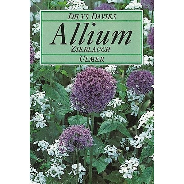 Allium, Dilys Davies