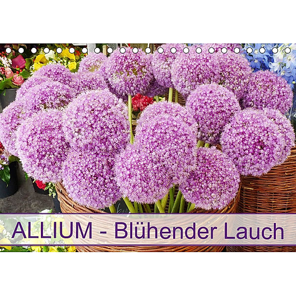 Allium Blühender Lauch (Tischkalender 2019 DIN A5 quer), Gisela Kruse
