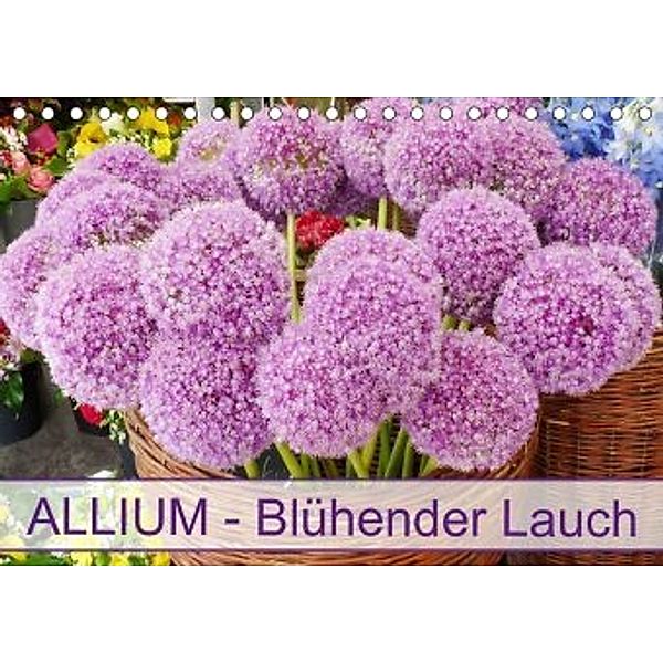 Allium Blühender Lauch (Tischkalender 2020 DIN A5 quer), Gisela Kruse