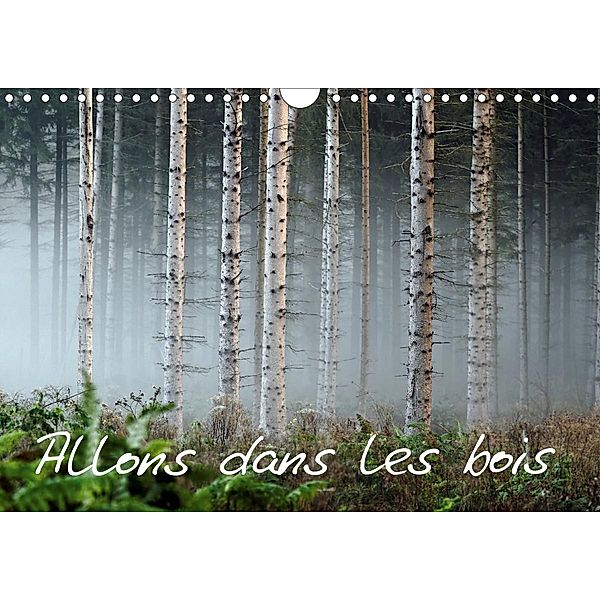 Allons dans les bois (Calendrier mural 2021 DIN A4 horizontal), daniel guffanti