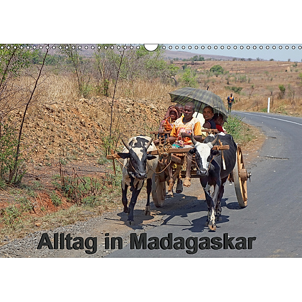 Alltag in Madagaskar (Wandkalender 2019 DIN A3 quer), Willy Brüchle