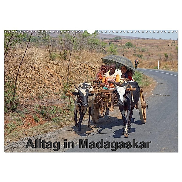 Alltag in Madagaskar (Wandkalender 2024 DIN A3 quer), CALVENDO Monatskalender, Willy Brüchle