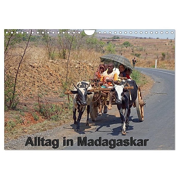 Alltag in Madagaskar (Wandkalender 2024 DIN A4 quer), CALVENDO Monatskalender, Willy Brüchle