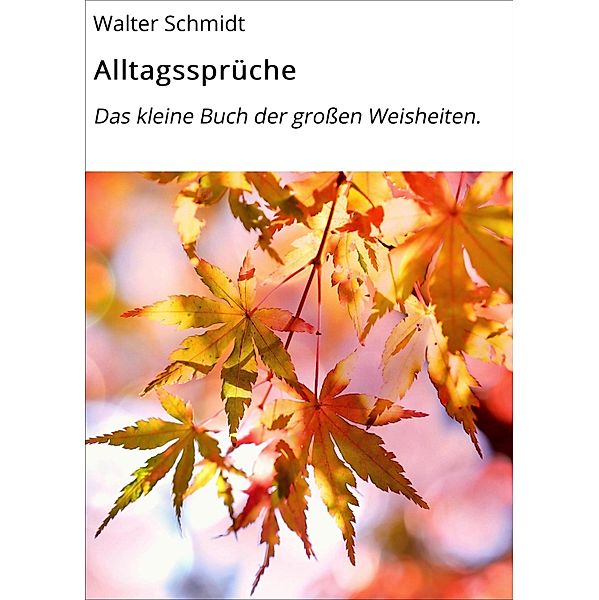 Alltagssprüche / Alltagssprüche Bd.1, Walter Schmidt