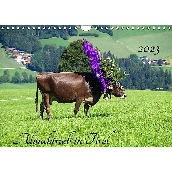 Almabtrieb in Tirol (Wandkalender 2023 DIN A4 quer), Thilo Seidel