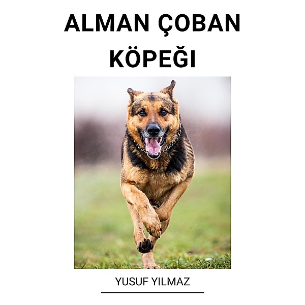 Alman çoban köpegi, Yusuf Yilmaz