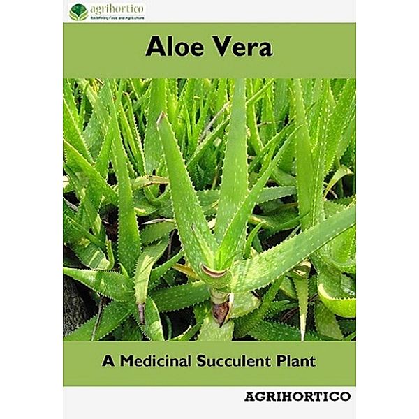 Aloe Vera: A Medicinal Succulent Plant, Agrihortico