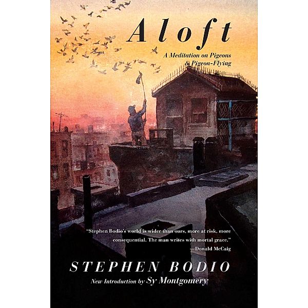 Aloft, Stephen Bodio