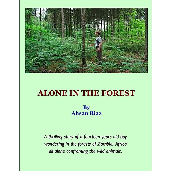 Alone In The Forest, Ahsan Riaz