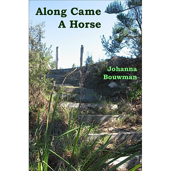 Along Came A Horse / Johanna Bouwman, Johanna Bouwman