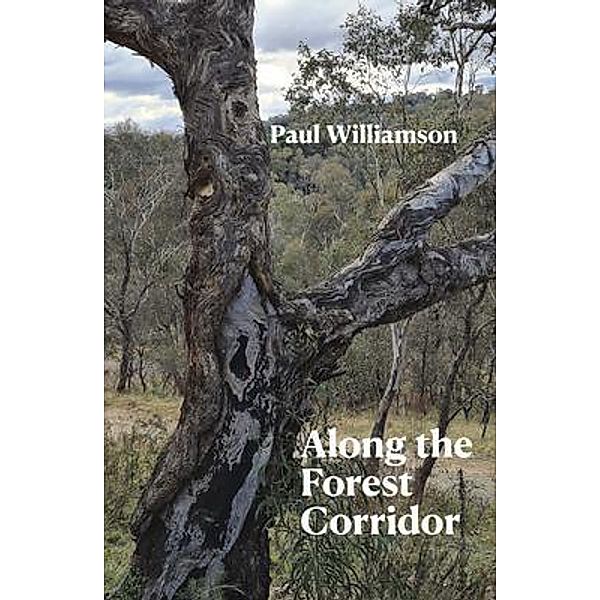 Along the Forest Corridor, Paul Williamson