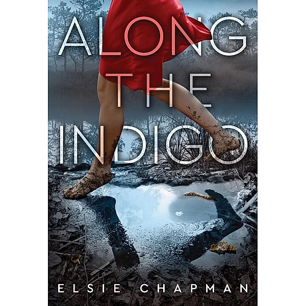Along the Indigo, Elsie Chapman