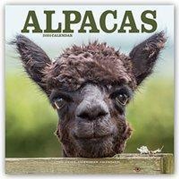 Alpacas 2020, Avonside Publishing