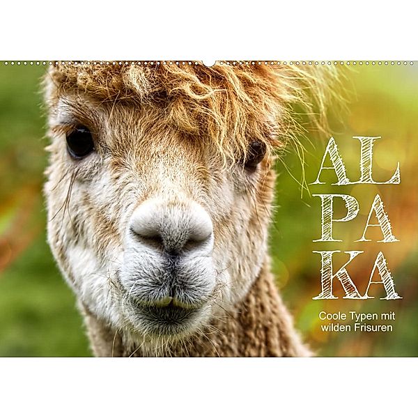 Alpaka, coole Typen mit wilden Frisuren (Wandkalender 2023 DIN A2 quer), Sabine Löwer