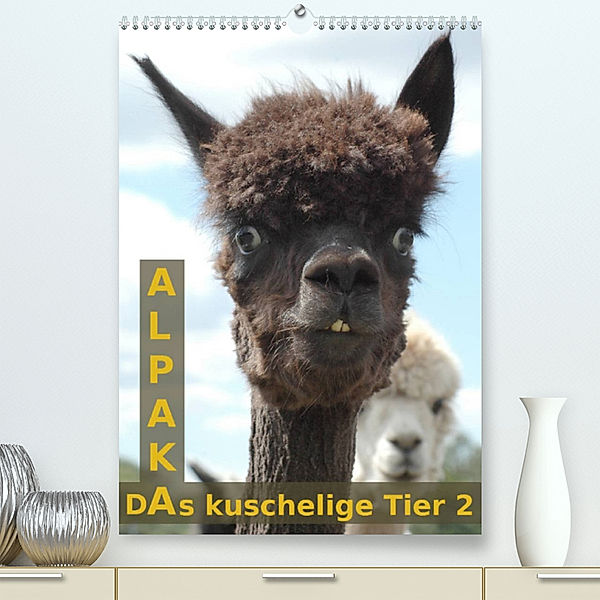 Alpaka, das kuschelige Tier 2 (Premium, hochwertiger DIN A2 Wandkalender 2023, Kunstdruck in Hochglanz), Peter Brömstrup