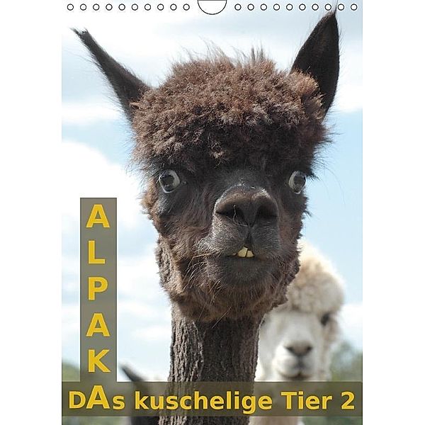 Alpaka, das kuschelige Tier 2 (Wandkalender 2017 DIN A4 hoch), Peter Brömstrup