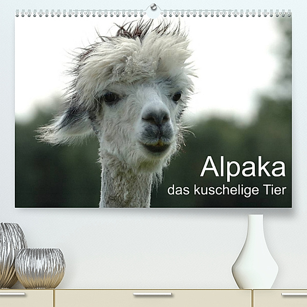 Alpaka, das kuschelige Tier (Premium, hochwertiger DIN A2 Wandkalender 2023, Kunstdruck in Hochglanz), Peter Brömstrup