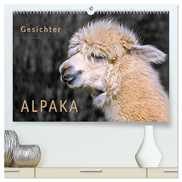 Alpaka Gesichter (hochwertiger Premium Wandkalender 2024 DIN A2 quer), Kunstdruck in Hochglanz, Peter Roder