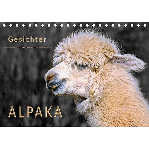 Alpaka Gesichter (Tischkalender 2020 DIN A5 quer), Peter Roder