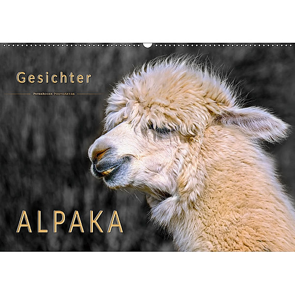 Alpaka Gesichter (Wandkalender 2019 DIN A2 quer), Peter Roder