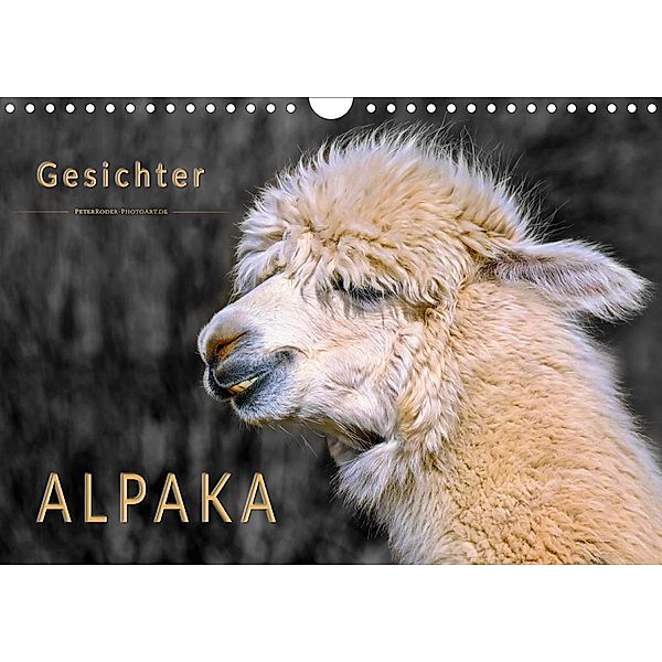 Alpaka Gesichter (Wandkalender 2020 DIN A4 quer), Peter Roder