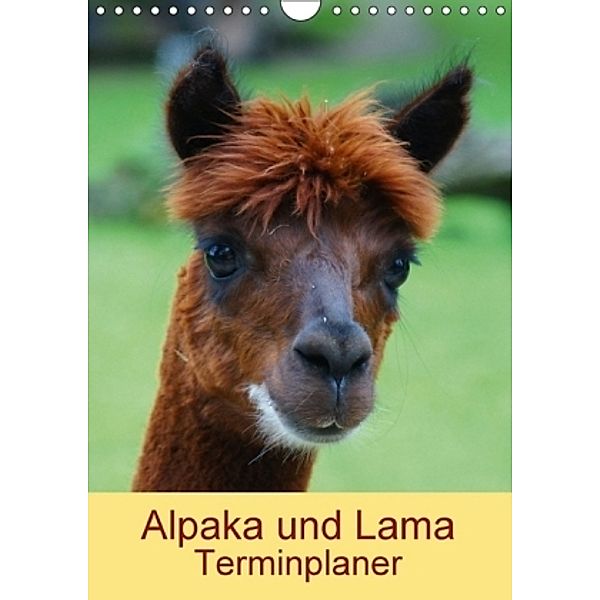 Alpaka und Lama Terminplaner (Wandkalender 2017 DIN A4 hoch), Kattobello