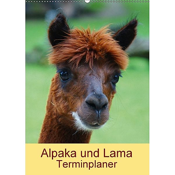 Alpaka und Lama Terminplaner (Wandkalender 2018 DIN A2 hoch), kattobello