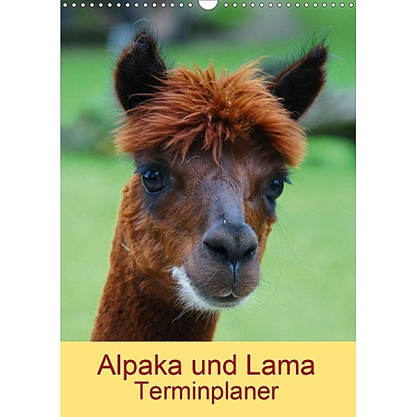 Alpaka und Lama Terminplaner (Wandkalender 2020 DIN A3 hoch)