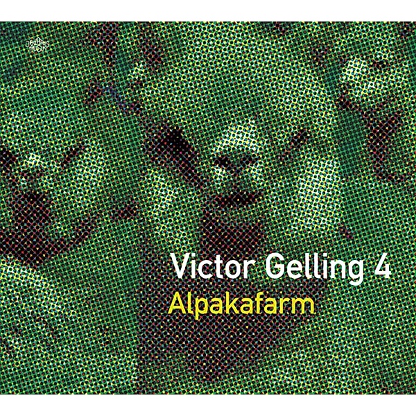 Alpakafarm, Victor Gelling 4