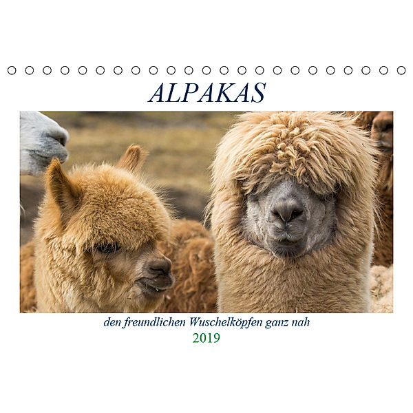 Alpakas - den freundlichen Wuschelköpfen ganz nah (Tischkalender 2019 DIN A5 quer), Bianca Mentil