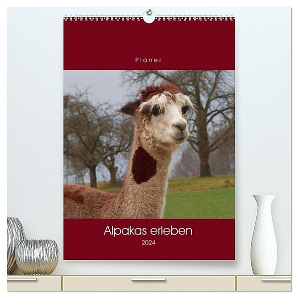 Alpakas erleben (hochwertiger Premium Wandkalender 2024 DIN A2 hoch), Kunstdruck in Hochglanz, Angelika keller
