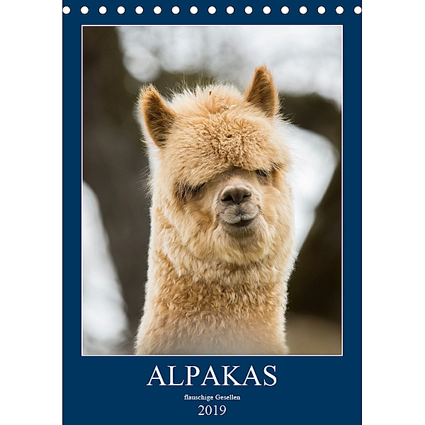 Alpakas - flauschige Gesellen (Tischkalender 2019 DIN A5 hoch), Bianca Mentil