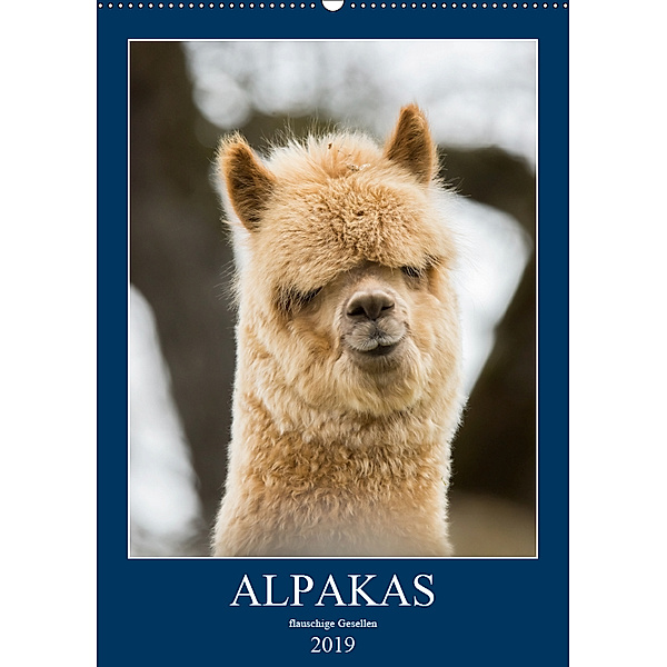 Alpakas - flauschige Gesellen (Wandkalender 2019 DIN A2 hoch), Bianca Mentil