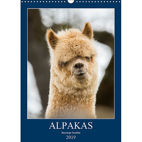 Alpakas - flauschige Gesellen (Wandkalender 2019 DIN A3 hoch), Bianca Mentil
