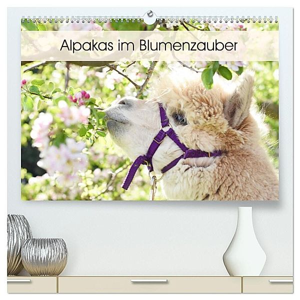 Alpakas im Blumenzauber (hochwertiger Premium Wandkalender 2025 DIN A2 quer), Kunstdruck in Hochglanz, Calvendo, Heidi Rentschler