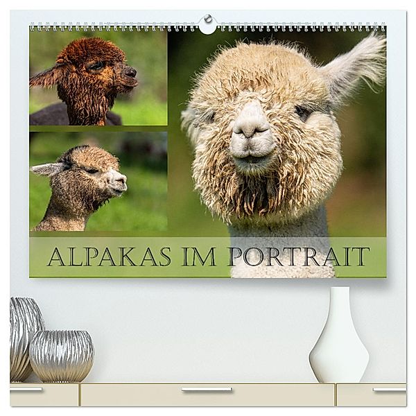 Alpakas im Portrait (hochwertiger Premium Wandkalender 2024 DIN A2 quer), Kunstdruck in Hochglanz, Monika Scheurer