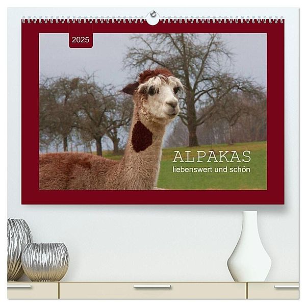 Alpakas - liebenswert und schön (hochwertiger Premium Wandkalender 2025 DIN A2 quer), Kunstdruck in Hochglanz, Calvendo, Angelika keller