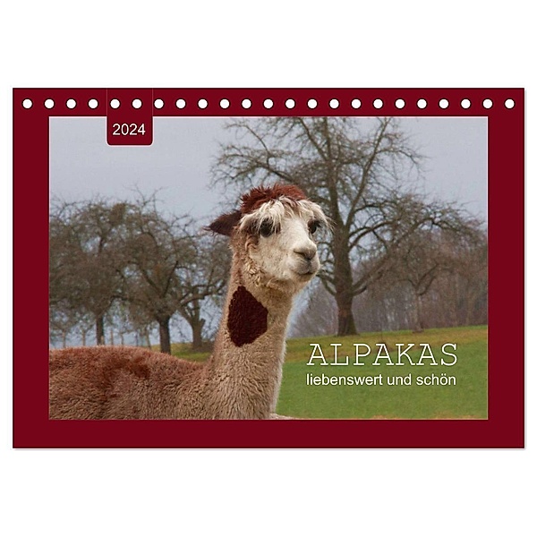 Alpakas - liebenswert und schön (Tischkalender 2024 DIN A5 quer), CALVENDO Monatskalender, Angelika keller